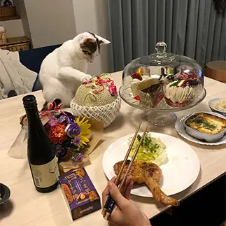 パッと見、単価で選びすぎるネコ　　おすしちゃんさん