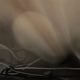 ワープ!?異次元すぎるネコ　　にゃーさん