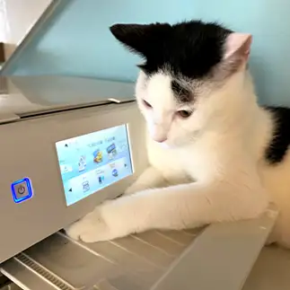 すぐお持ちします!コピー係すぎるネコ　　チーズさん