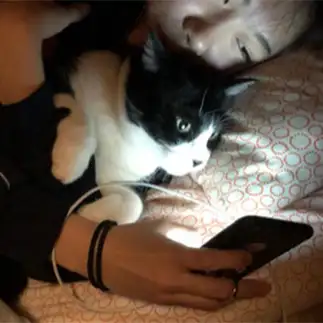付き合いが良すぎるネコ　　kurinyoさん