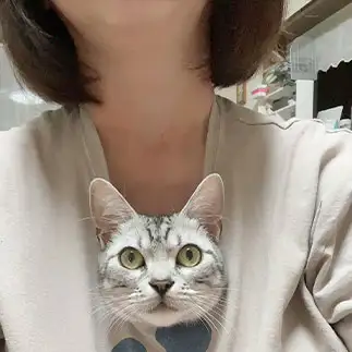 生Ｔすぎるネコ　　ドリーさん