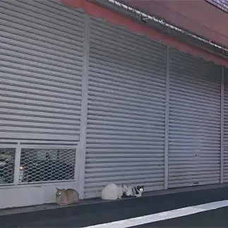みんなで目を光らせすぎるネコ　　からくりぴーちさん