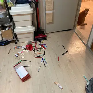 犯人は現場に戻るすぎるネコ　　banmamiさん