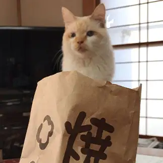 焼き芋いかがっすかー?すぎるネコ　　にゃーさん