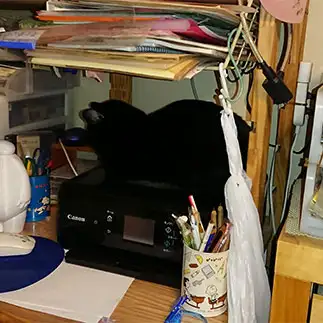 黒すぎるネコ　　たけだみかんさん