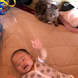 子守りをしすぎるネコ　　Solaoさん