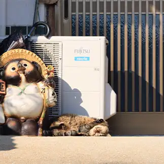 果報は寝て待てすぎるネコ　　ねこたろうさん