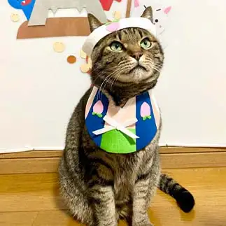 きっと鬼より弱すぎるネコ　　ゆきどん・ユキドンさん