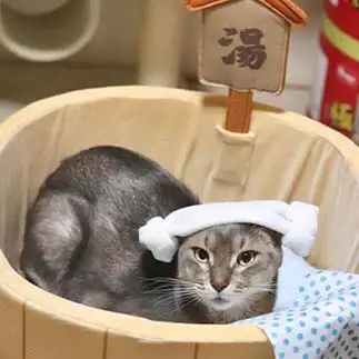長風呂すぎるネコ　　かなさん