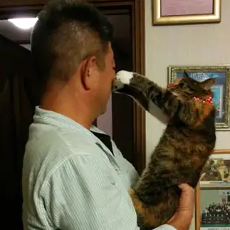 どうしても、この人だけは、イヤすぎるネコ　　ももさん