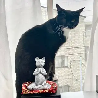 ねこ神様をお守りしすぎるネコ　　banmamiさん