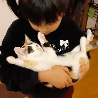 お手上げすぎるネコ　　ムーたんさん