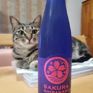 飲んべえすぎるネコ　　aceroさん
