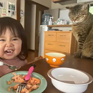 感情が顔に出すぎるネコ　　トモエさん