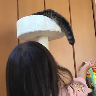 片思いに応えたくないすぎるネコ　　みぃちゃんママさん