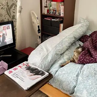 3才なのに隠居すぎるネコ　　みなみなさん