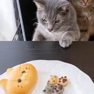 行列ができるベーカリーすぎるネコ　　ゆずなつさん