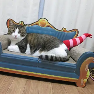 猫又になりたすぎるネコ　　winchanママさん