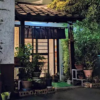 入れてもらいたすぎるネコ　　ひまわり屋ひまさん