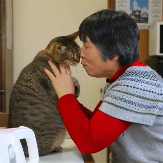 飼い主にグイグイ密着して甘えすぎるネコ　　島本陽子さん
