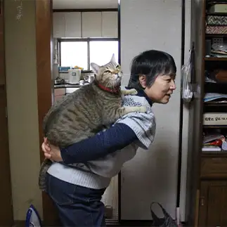赤ちゃんみたいだが、にしては巨大すぎるネコ　　島本陽子さん
