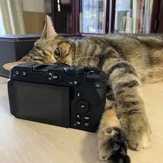 アップで写りたすぎるネコ　　1号2号さん