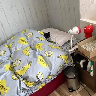 あたちのお布団ですがなにか？すぎるネコ　　banmamiさん
