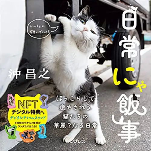 日常にゃ飯事の画像