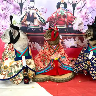 右向け～、右！すぎるネコ　　ミロルナのママさん