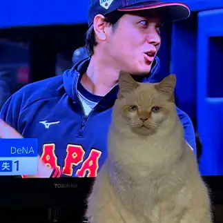 大谷選手とのツーショットの意味がわからなすぎるネコ　　にゃーさん