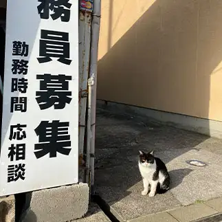 相談するには圧が強すぎるネコ　　麦チョコ&ハクママさん