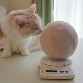 自分の抜け毛ボールが愛おしすぎるネコ　　クゥちゃんのおかんさん