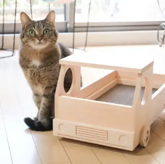 レースクイーンすぎるネコ　　ゆずなつさん