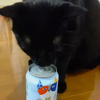 酒好きすぎるネコ　　ゆうさん