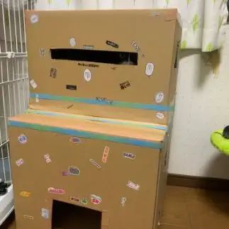 怖すぎるネコ　　ハッチ&ルイさん