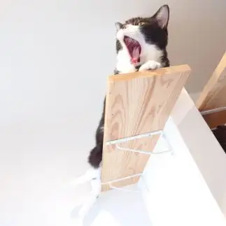 しあわせなあくびすぎるネコ　　しろくろさん