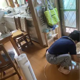 監視しすぎるネコ　　渡邉　コメさん
