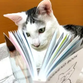 読書の秋すぎるネコ　　マミゾーさん