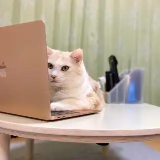 エゴサーチしすぎるネコ　　クゥちゃんのおかんさん