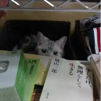 本を読みすぎるネコ　　バジルさん