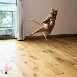 とびすぎるネコ　　ともさん