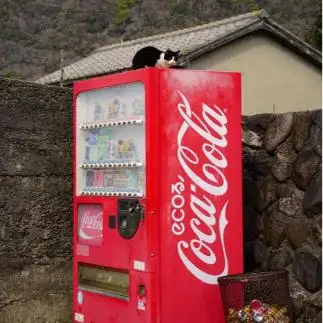 大あくびすぎるネコ　　keim.299さん
