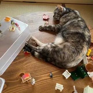 誘い方がヤバすぎるネコ　　hoshiko.nyanさん