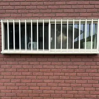 シャム猫は見たすぎるネコ　　みゅうさん