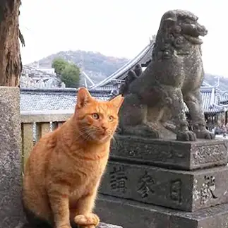 狛犬さんの真似しすぎるネコ　　t.takaharuさん