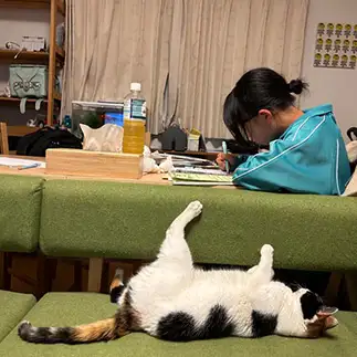 誘惑しすぎるネコ　　マイブーさん