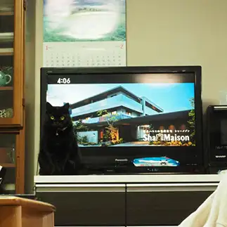 テレビのフレームすぎるネコ　　つつい　りょうかさん