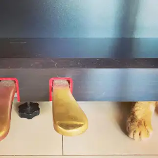 ピアノのペダルすぎるネコ　　かのこさん