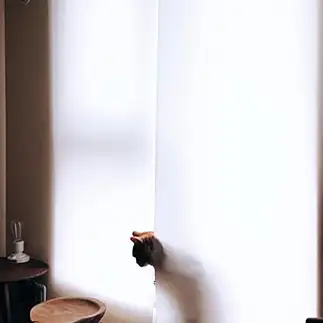 窓際族すぎるネコ　　かのこさん