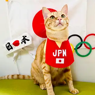 応援をがんばりすぎるネコ　　ゆきどん・ユキドンさん